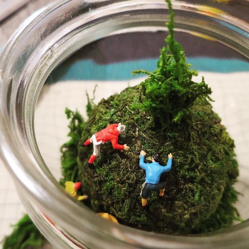 週末の工作、瓶と苔玉でクリスマスっぽく_c0060143_20280113.jpg