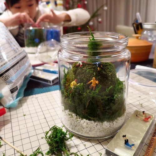 週末の工作、瓶と苔玉でクリスマスっぽく_c0060143_20280114.jpg