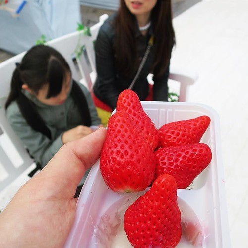 「越谷イチゴタウン」で60分ひたすらイチゴ食べ放題_c0060143_23085557.jpg