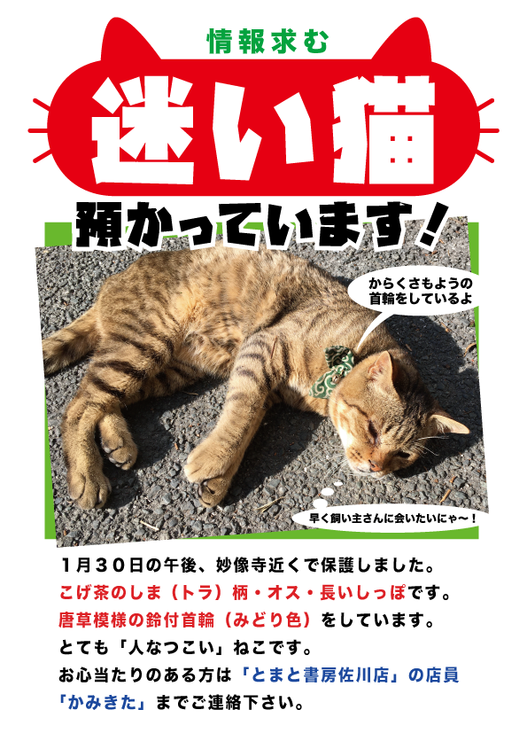 始めませんか キャッシュレス生活のpop Kami Kitaのpopなblog