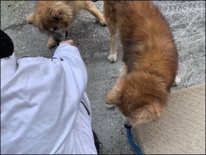 令和2年 2月1日 朝散歩_b0300759_09081447.jpeg