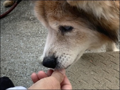 令和2年 2月1日 朝散歩_b0300759_09082255.jpeg