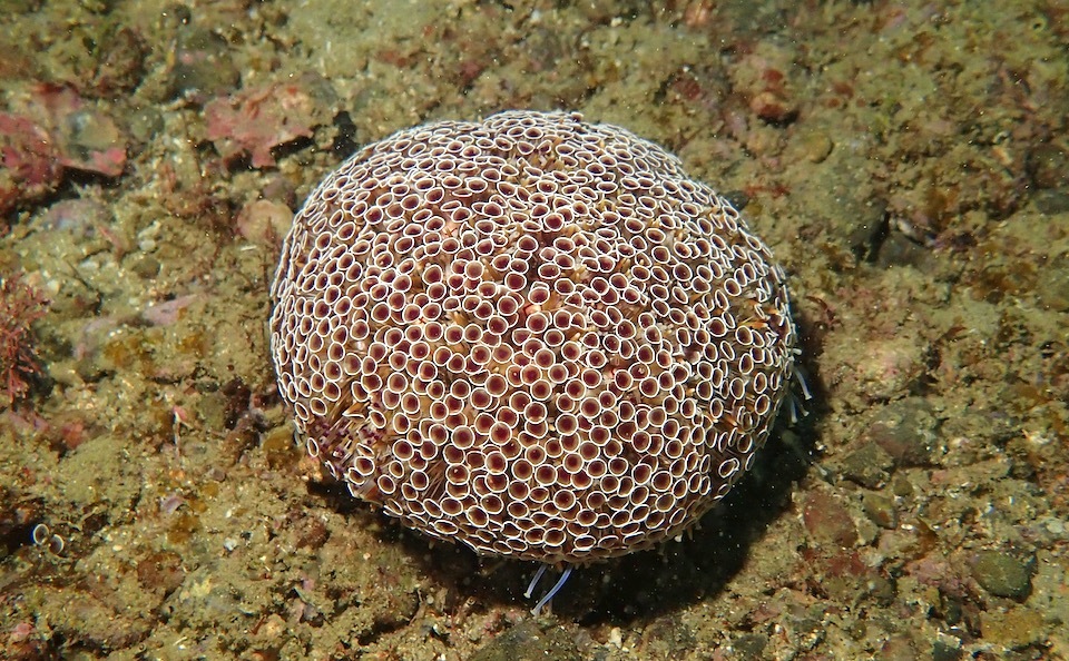 鹿島でドライ特訓_e0158261_13382297.jpeg