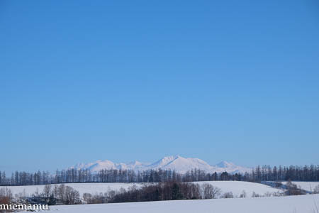 凛とした冬景色~1月の美瑛_d0340565_19474461.jpg