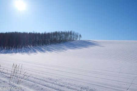 凛とした冬景色~1月の美瑛_d0340565_19475149.jpg