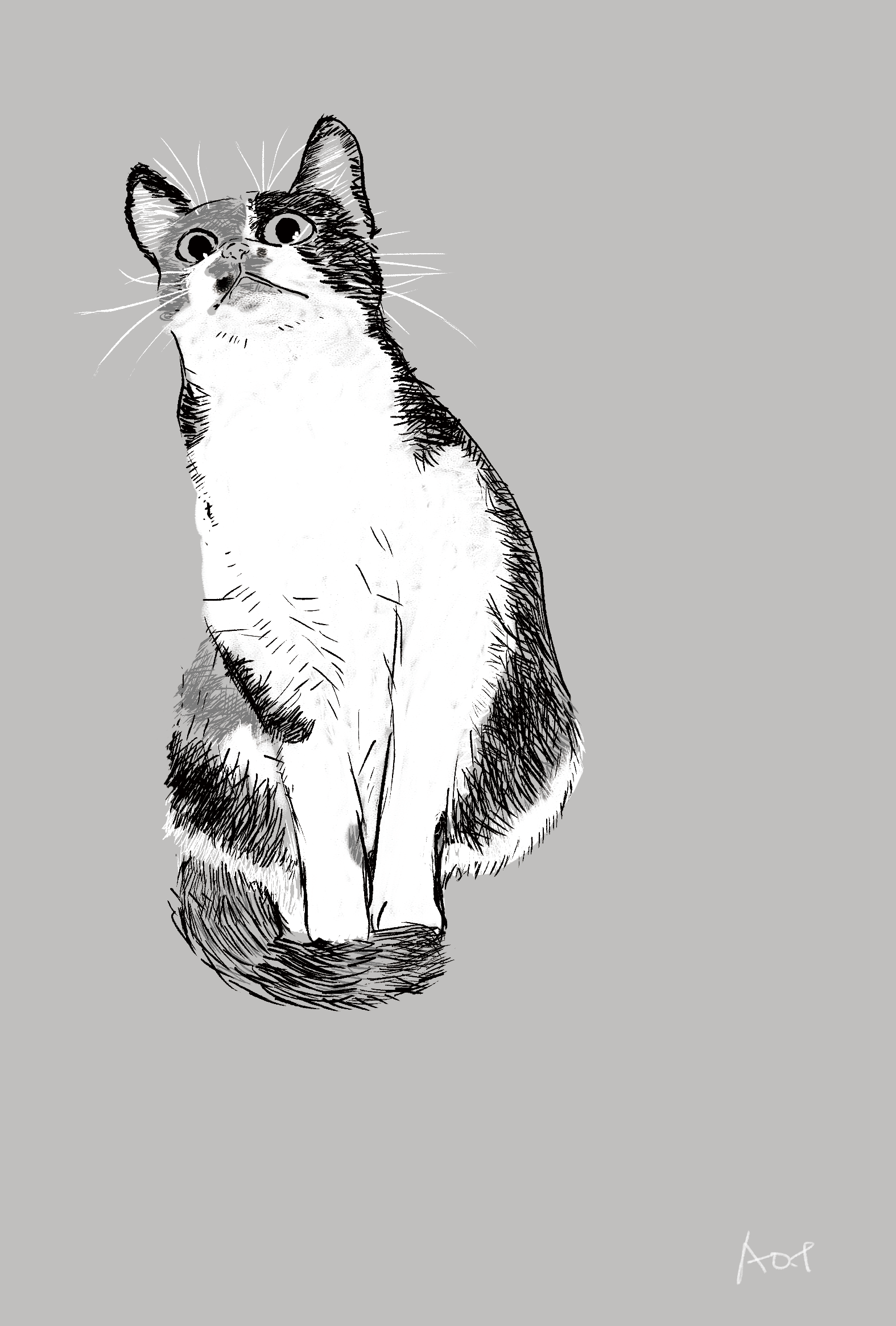 視線の先、ねこの耳_b0016168_13074623.png