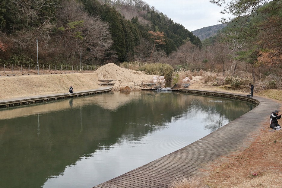 本日の新着情報_b0365177_09005857.jpg