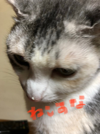 梅ちゃんはヒトツ_e0355177_20171380.jpg