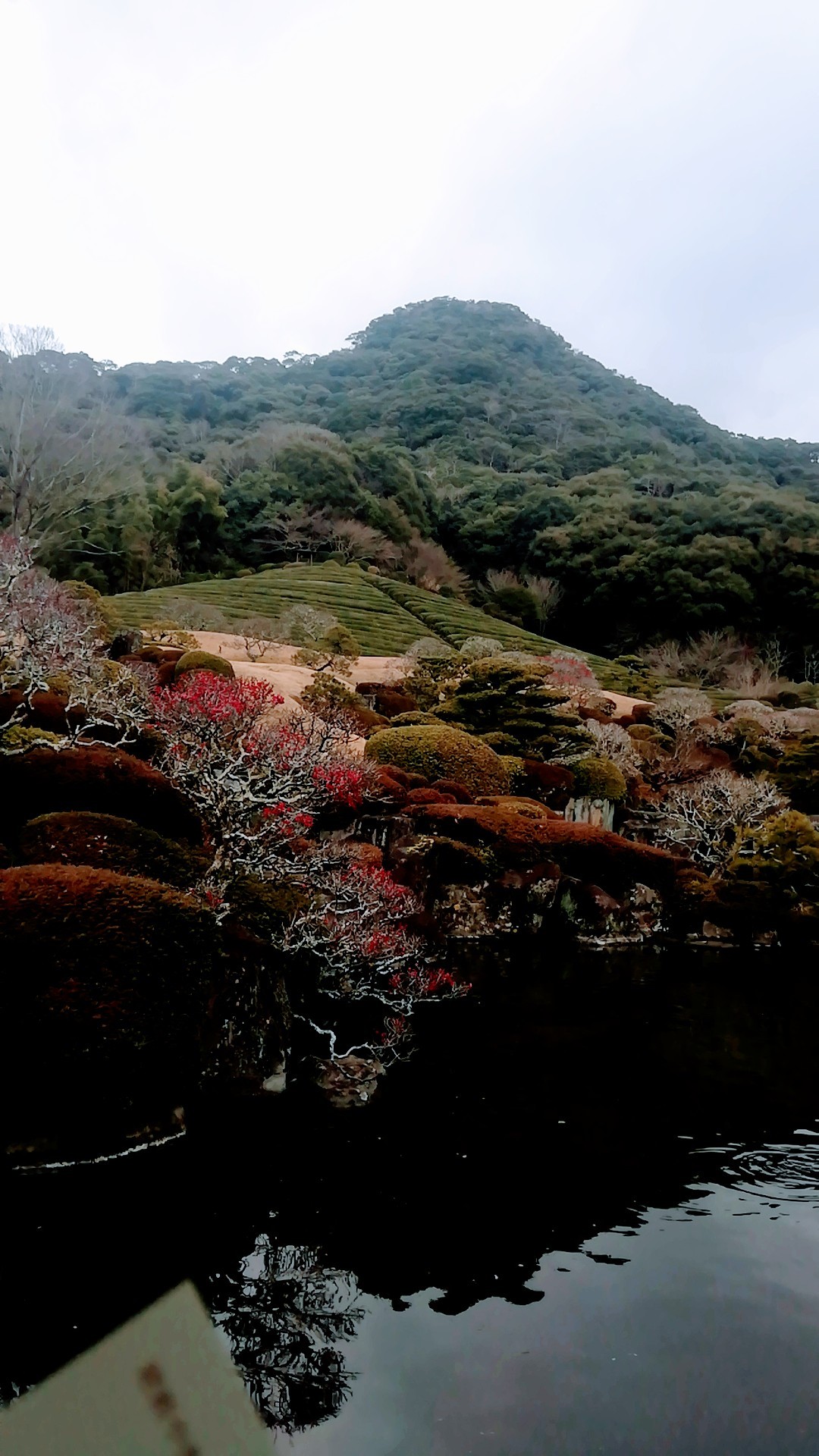 陽光美術館へ_d0195183_01013312.jpg
