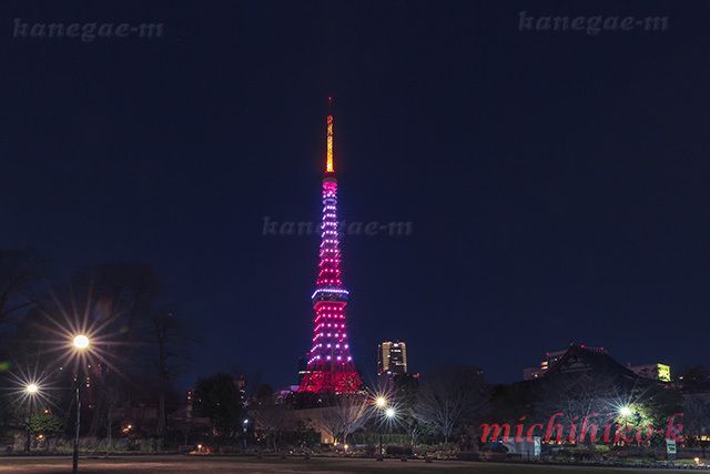 東京タワー令和の新ライトアップ インフィニティ ダイヤモンドヴェール 風景写真家鐘ヶ江道彦のフォトブログ２