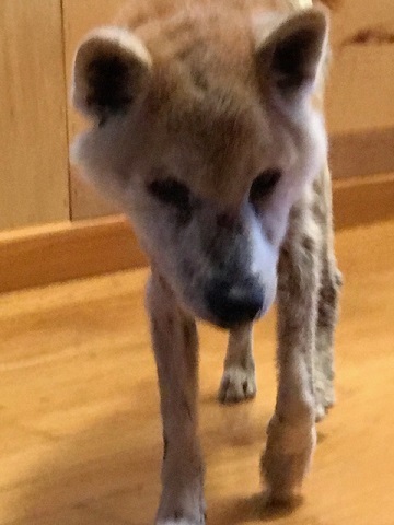 オムツがたくさん!!_f0242002_17583965.jpg