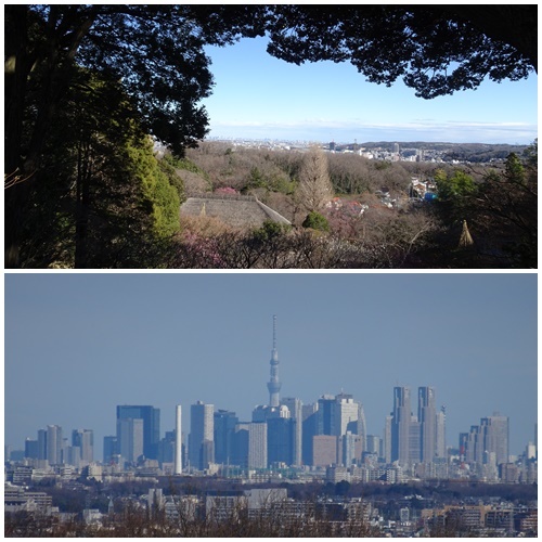 二月になってしまいました。_c0051105_23181947.jpg