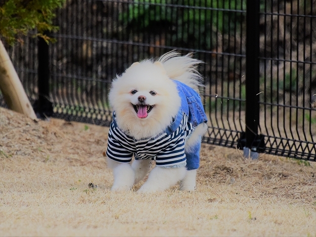 キラキラしてる_d0360206_00111652.jpg