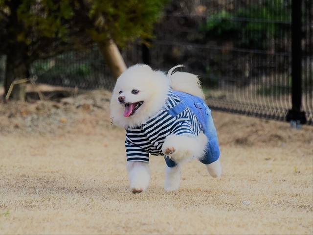 キラキラしてる_d0360206_00112424.jpg