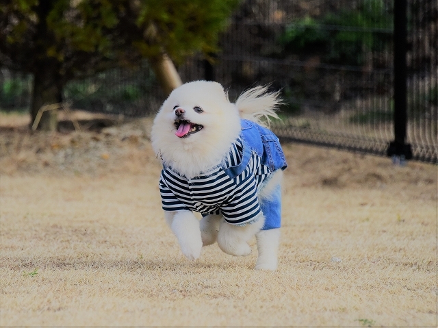 キラキラしてる_d0360206_00112873.jpg