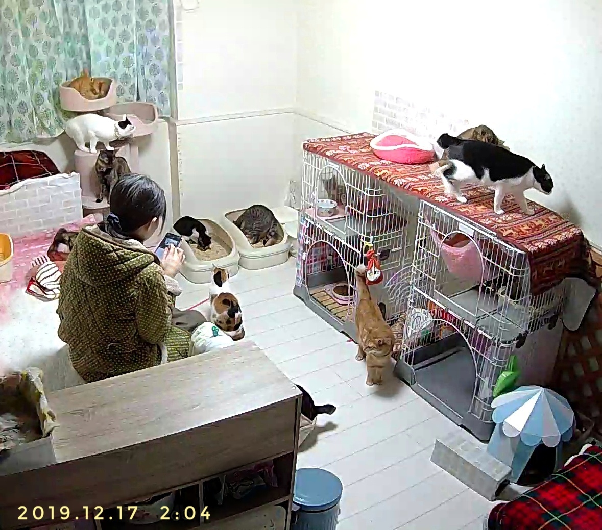 まとめ日記(2019.12/22~12/29)_e0144012_13251259.jpeg
