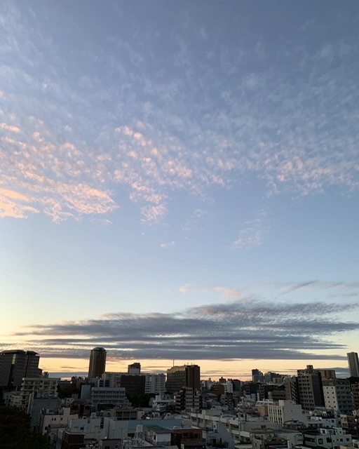 免疫力をたかめる_e0404027_14494857.jpeg