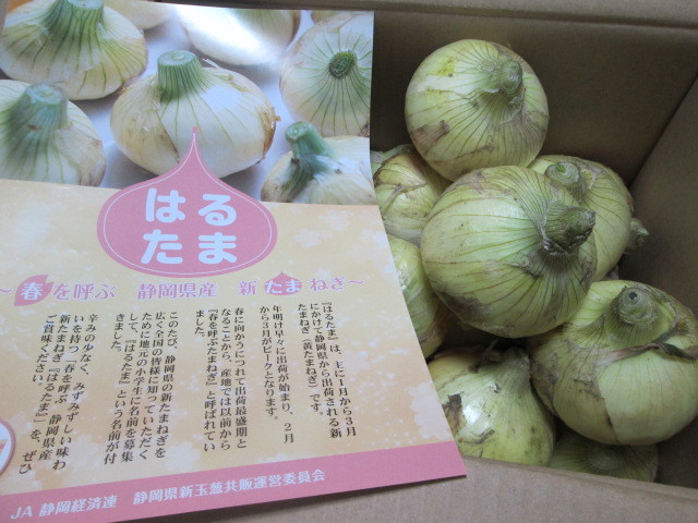 少量でも簡単!新たまねぎとわかめのかき揚げ_d0361028_20201509.jpg