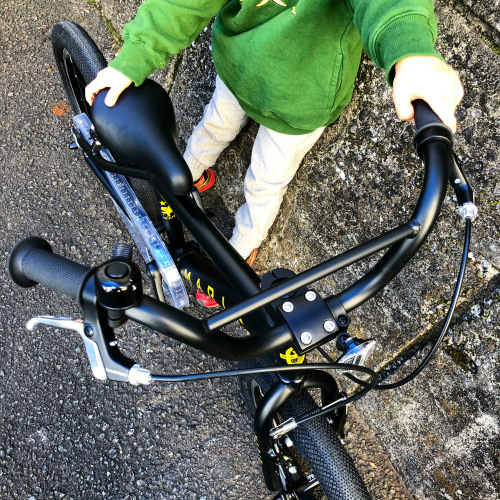 MARIN 子供用自転車 16インチ 黒 0843346116598-S.jpg
