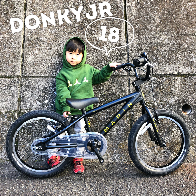 MARIN BIKES マリンバイク16インチ Donky Jr16 カスタムお気持ち程度なら頑張ります