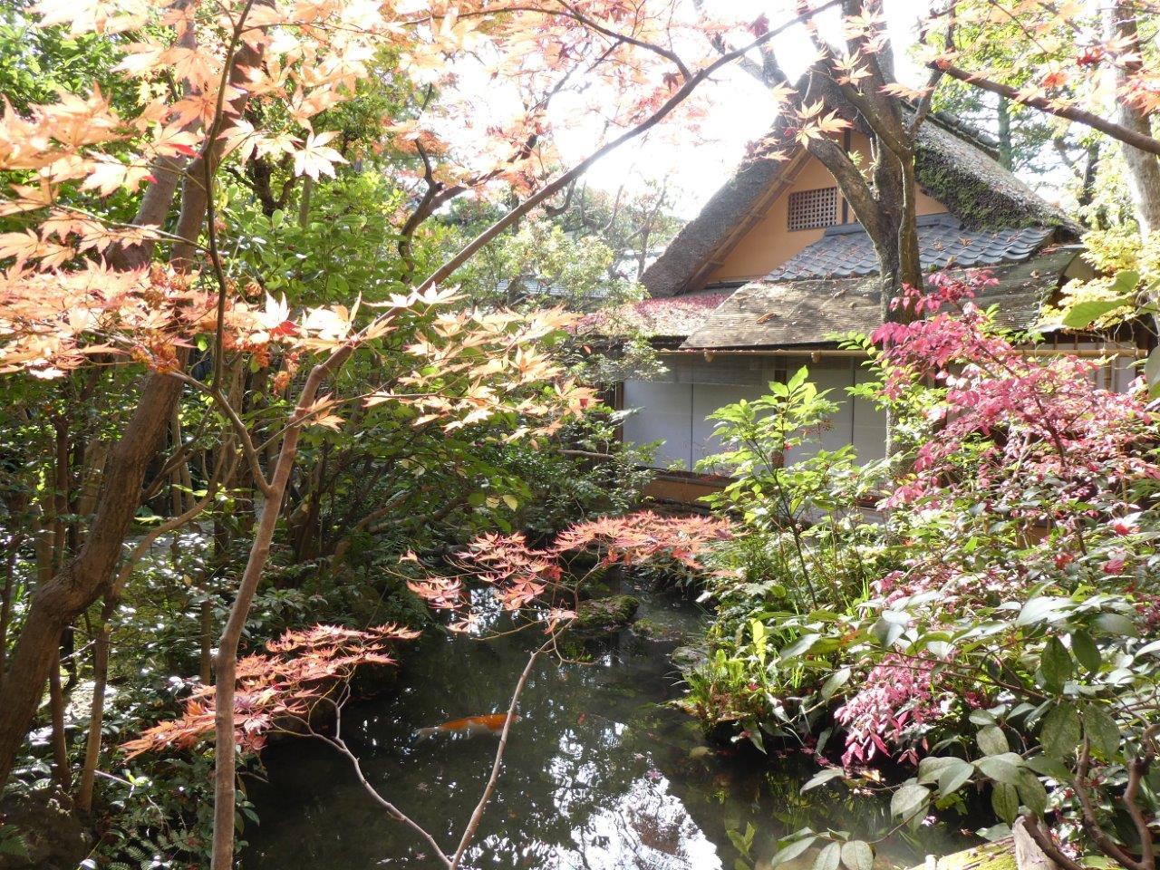 瓢亭 本店 （ひょうてい） 初訪問　鶉粥_d0106134_17003998.jpg