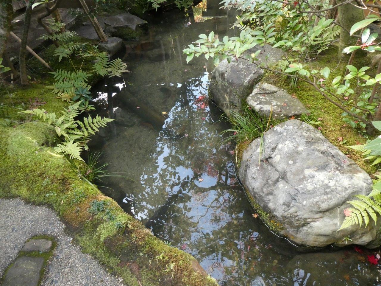 瓢亭 本店 （ひょうてい） 初訪問　鶉粥_d0106134_17010895.jpg