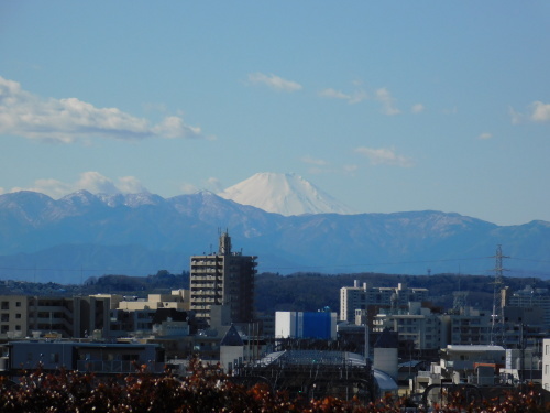 世田谷ぶらぶら日記(2020/02/01)－久しぶりの富士山_c0338136_21454103.jpg