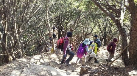 クリーンハイク 塩屋~栂尾山~須磨離宮公園_c0218841_18070579.jpg