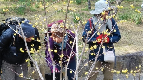 クリーンハイク 塩屋~栂尾山~須磨離宮公園_c0218841_18112722.jpg