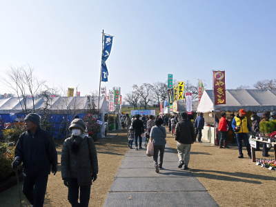 第45回ja植木まつり In熊本県農業公園 カントリーパーク に行ってきました flcパートナーズストア 第45回ja植木まつり In熊本県農業公園 カントリーパーク に行ってきました flcパートナーズストア