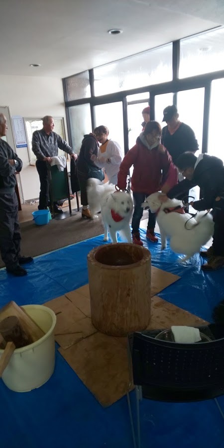 新年お餅つき 楽しく 美味しくありがとうございます。_b0102267_16340402.jpg