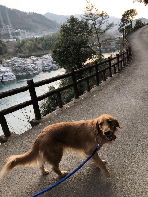 穏やかな一日_a0394574_23222988.jpeg