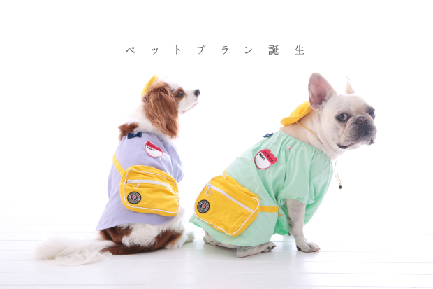 本日の撮影🌟_a0380680_14432881.jpg