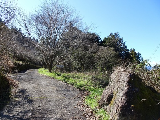 加茂の里(1/2)【天空編】(佐川町)_f0308898_20024791.jpg