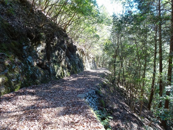 加茂の里(1/2)【天空編】(佐川町)_f0308898_20063048.jpg