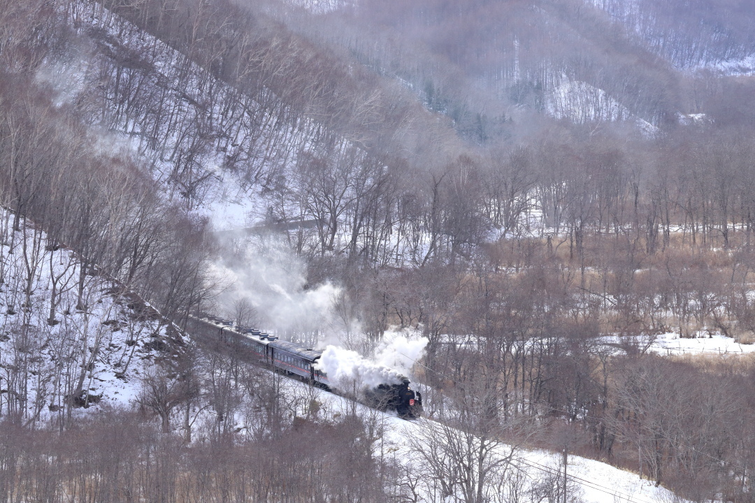 木の枝が邪魔… - 2020年・釧網線 -_b0190710_16501798.jpg