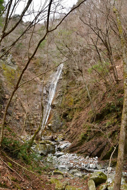 Nishi-Tan Roundwalk その8 下山_b0223512_23140663.jpg