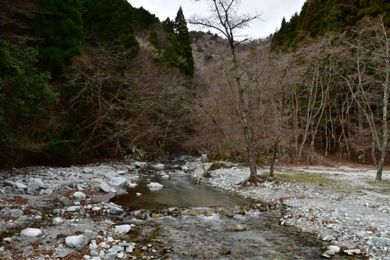 Nishi-Tan Roundwalk その8 下山_b0223512_23181947.jpg