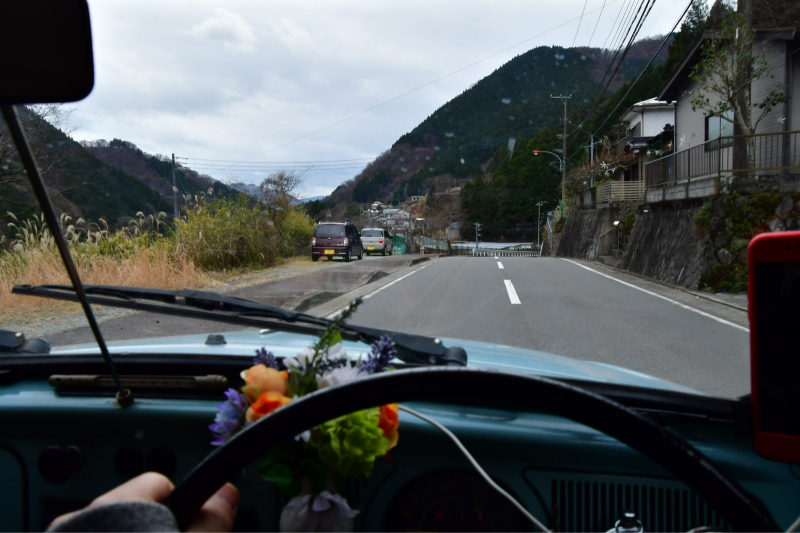 Nishi-Tan Roundwalk その8 下山_b0223512_23200613.jpg