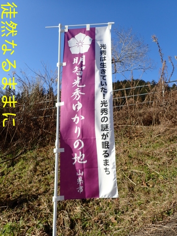生き た 光秀 明智 てい