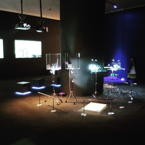 六本木クロッシング2016展:僕の身体(からだ)、あなたの声_c0060143_14532871.jpg