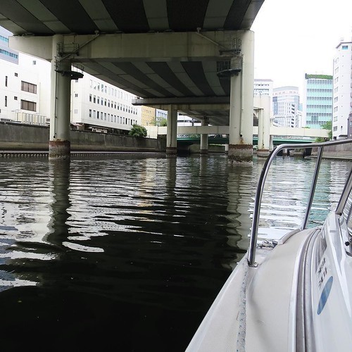 1日のクルージングでくぐった橋の数なんと100を超えてた_c0060143_15171523.jpg