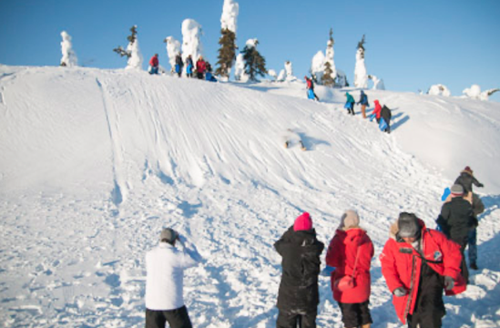 北極圏で雪すべり!?_b0135948_16073253.png
