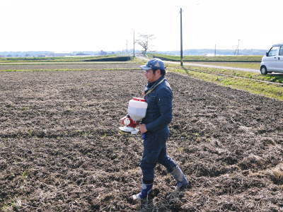 熊本県菊池市七城町『砂田のこだわりれんげ米』 れんげの発芽 2020年も変わらぬ栽培方法です!_a0254656_17354419.jpg