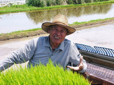 熊本県菊池市七城町『砂田のこだわりれんげ米』 れんげの発芽 2020年も変わらぬ栽培方法です!_a0254656_17471661.jpg