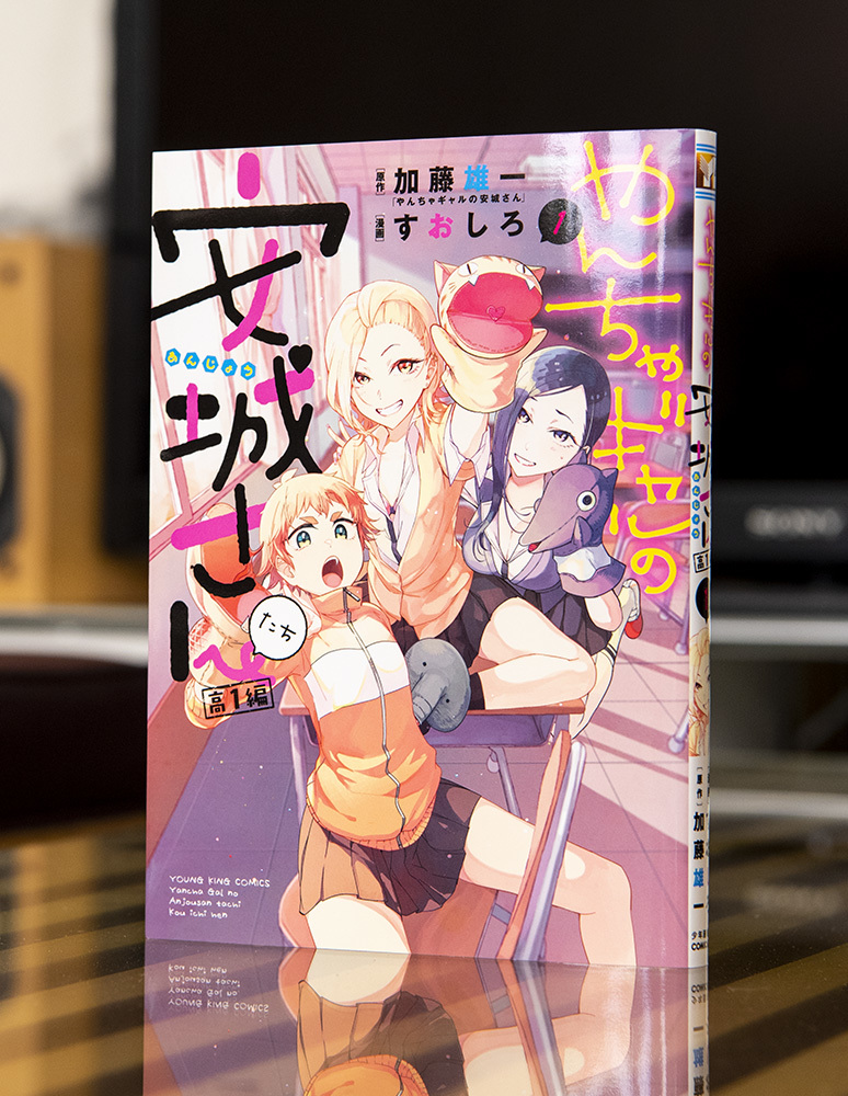 やんちゃギャルの安城さんたち 高1編 第1巻_a0208563_13304162.jpg