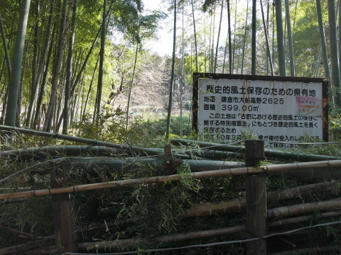 神奈川県有竹林を整備2・2六国見山手入れ（上）_c0014967_09333218.jpg