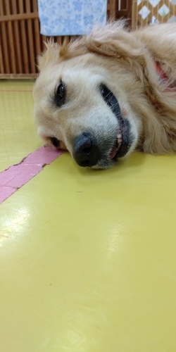 お泊まり頑張ったよ❗️_f0357682_13355890.jpg