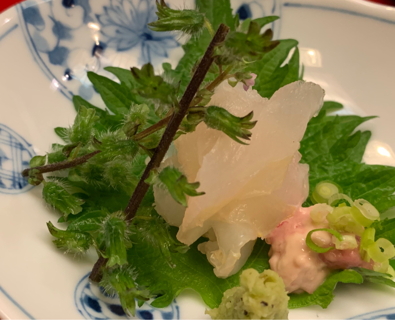 腕のいい天ぷら屋さんで天ぷら食べると天ぷらの概念が変わります 小田原天幸さんへgo ケアン レイキー とウェルシュテリア 腕のいい天ぷら屋さんで天ぷら食べると天ぷらの概念が変わります 小田原天幸さんへgo ケアン レイキー とウェルシュテリア