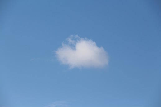 見え方はそれぞれの感じ方_a0333195_21104361.jpg